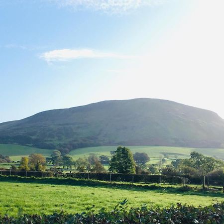 Willa Benbradagh Barn Dungiven Zewnętrze zdjęcie