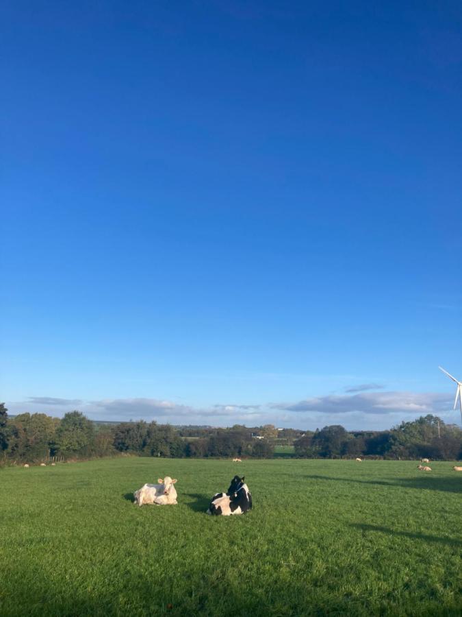 Willa Benbradagh Barn Dungiven Zewnętrze zdjęcie
